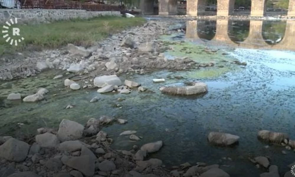 Τουρκία: Πεθαίνουν τα ψάρια στον ποταμό Τίγρη - Ξέμεινε από νερό